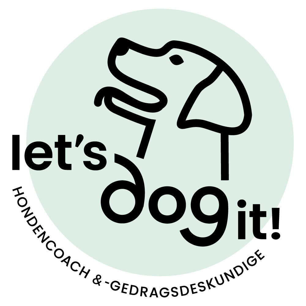 Let's dog it! partner van WOOFCAMP